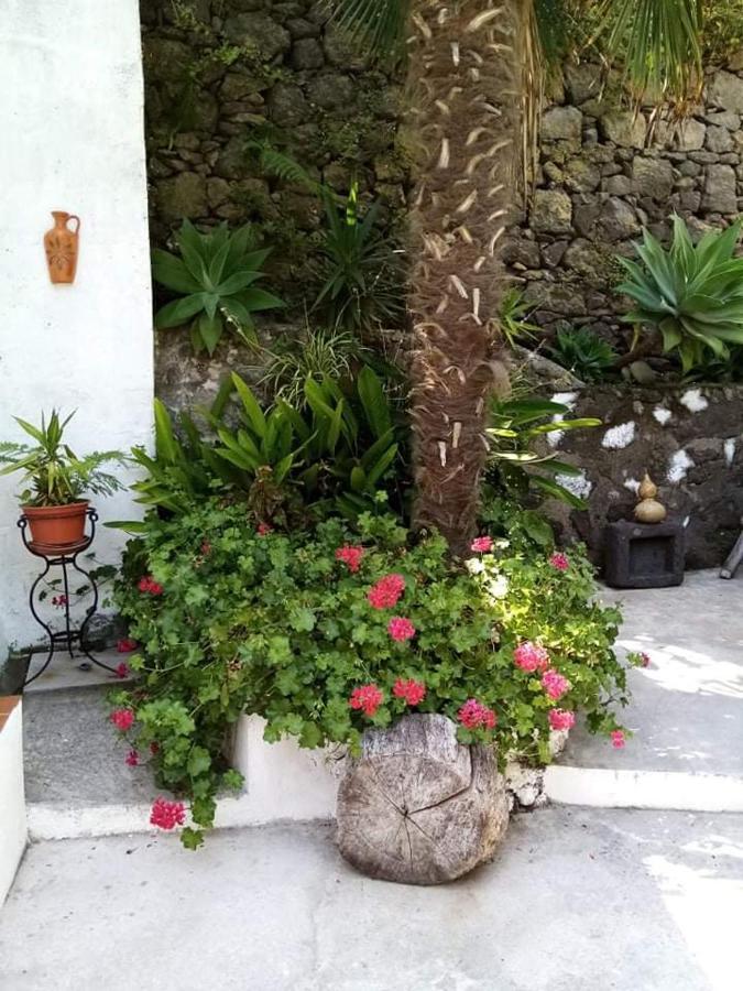 Ribeira Da Praia House 빌라플렝카드켐포 외부 사진